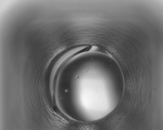 X0000059250731200510211628