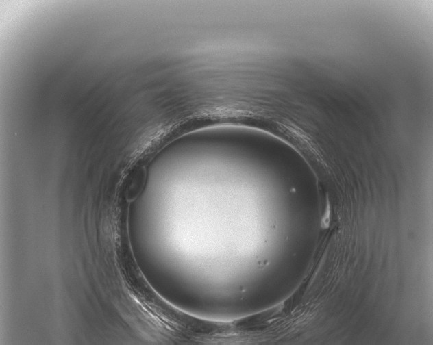 X0000059250732200510211628