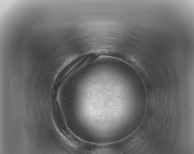 X0000059250734200510211628