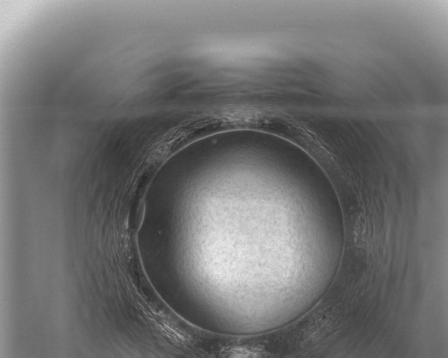 X0000059250737200510211628