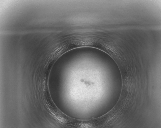 X0000059250741200510211628