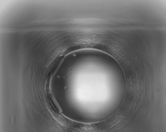 X0000059250742200510211628