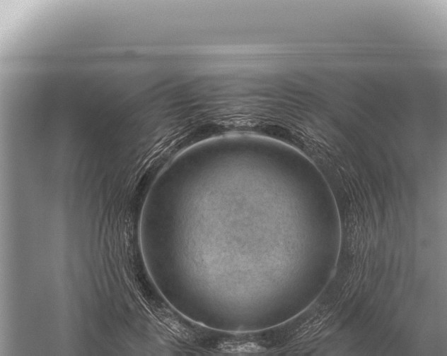 X0000059250747200510211628