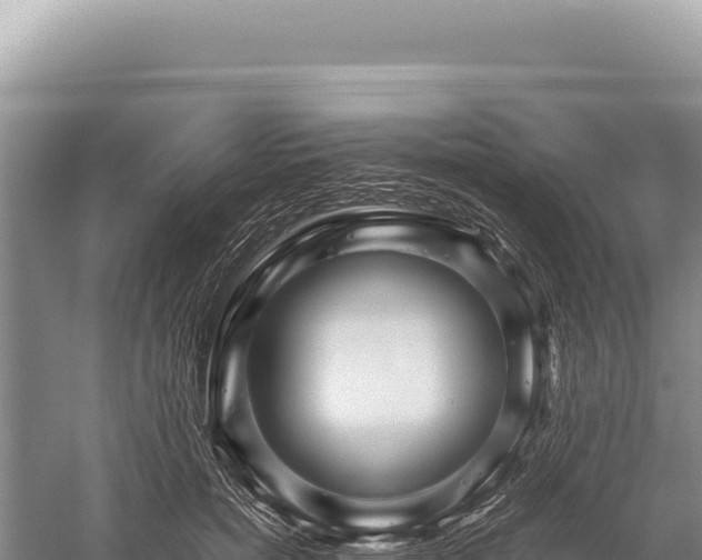 X0000059250750200510211628