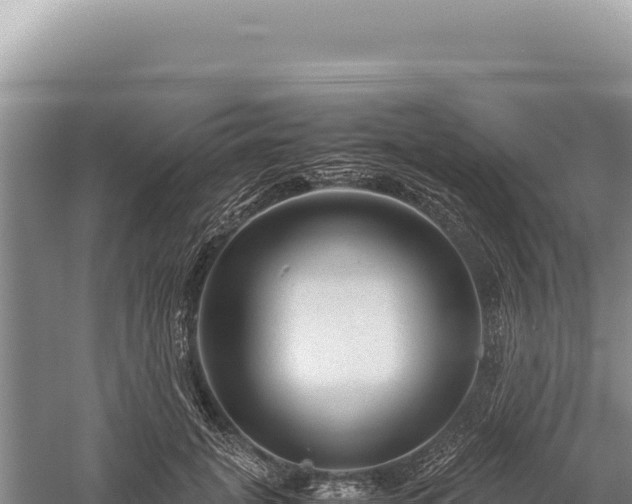 X0000059250751200510211628