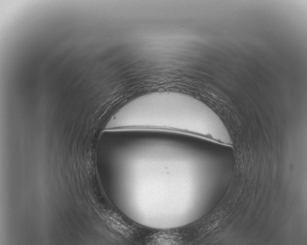 X0000059250756200510211628