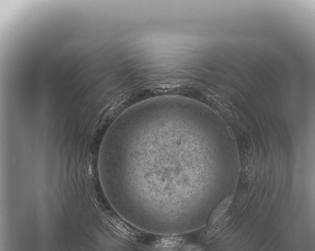 X0000059250758200510211628