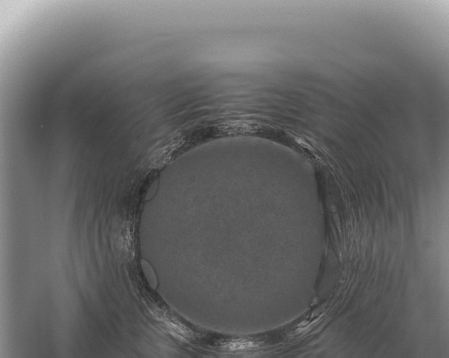 X0000059250759200510211628