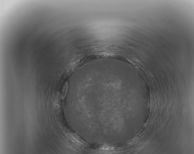 X0000059250760200510211628