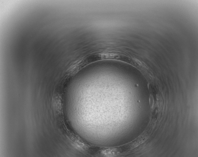 X0000059250761200510211628