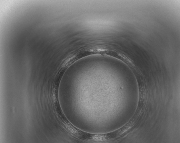 X0000059250762200510211628