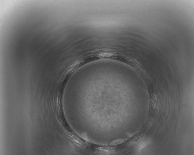 X0000059250763200510211629