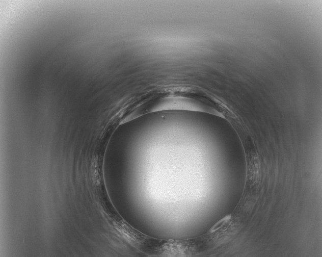 X0000059250764200510211629