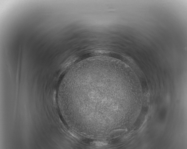 X0000059250765200510211629