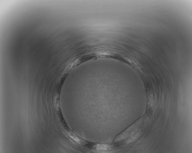 X0000059250766200510211629