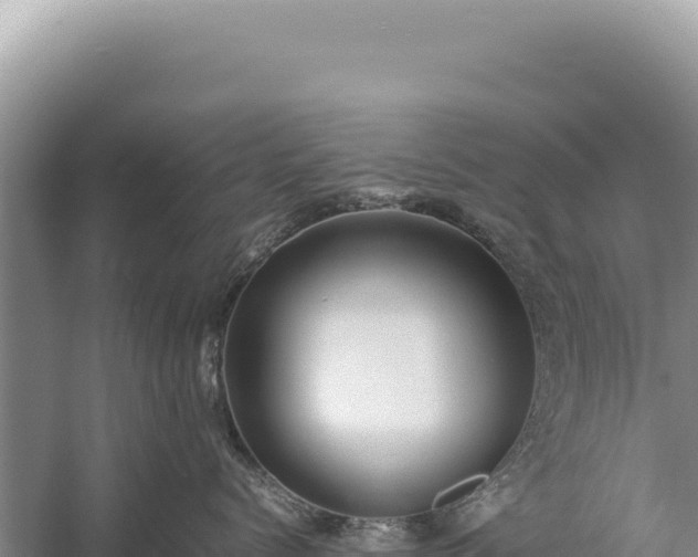 X0000059250768200510211629