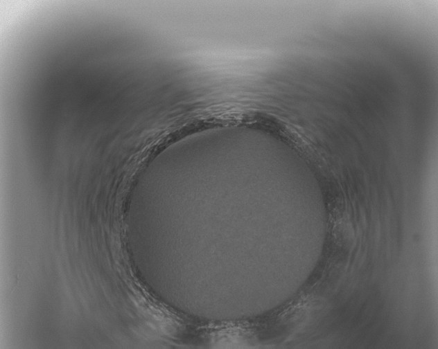 X0000059250769200510211628