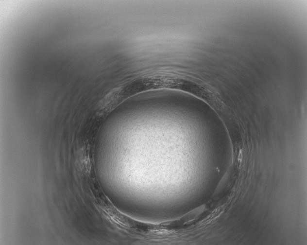 X0000059250771200510211628