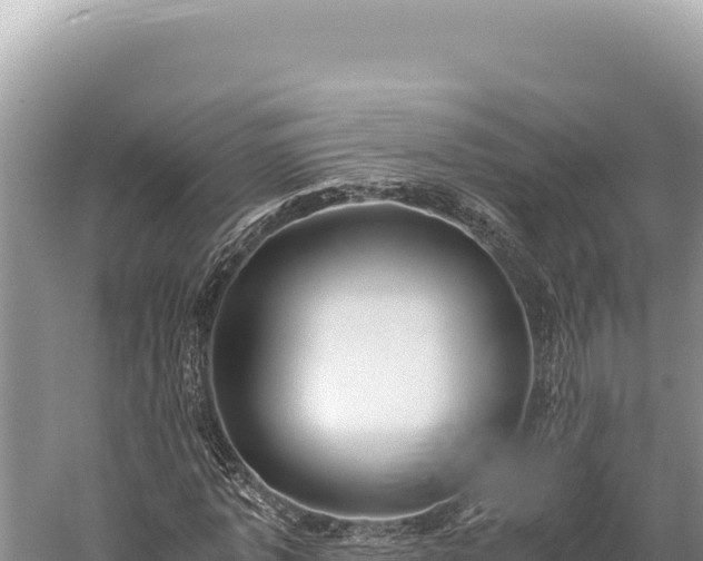 X0000059250773200510211628