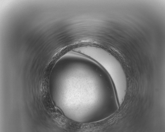 X0000059250776200510211628