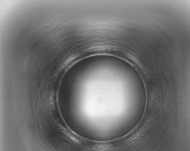 X0000059250778200510211628