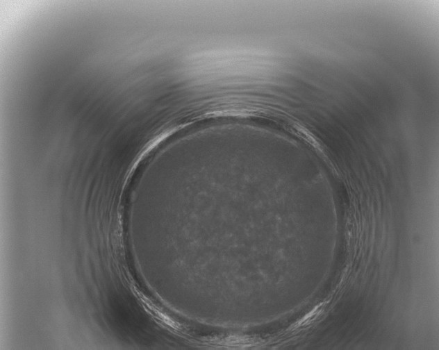 X0000059250779200510211628