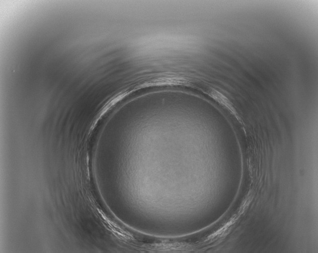 X0000059250781200510211628