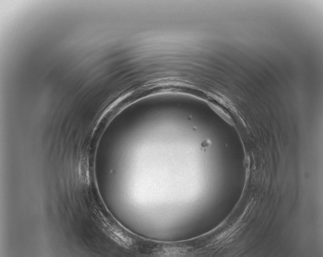 X0000059250782200510211628