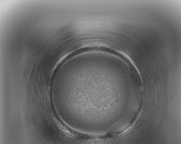 X0000059250783200510211628