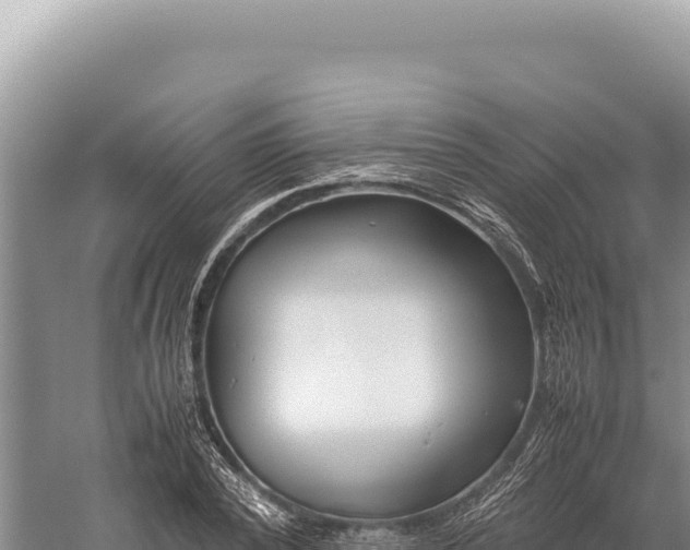 X0000059250784200510211628