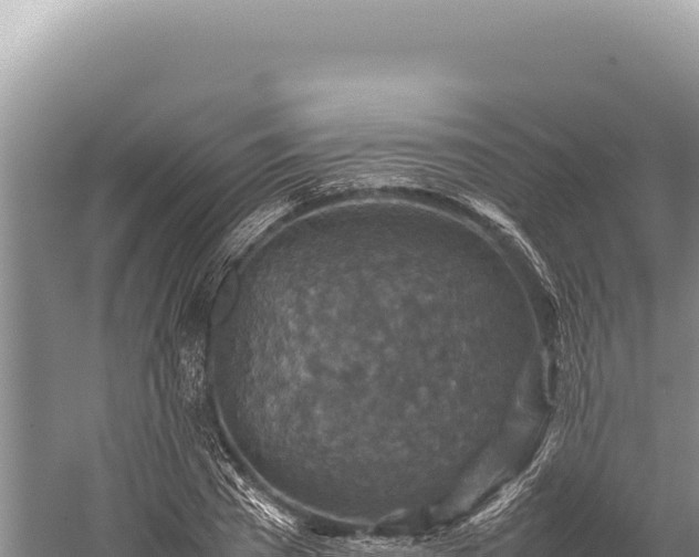 X0000059250785200510211627