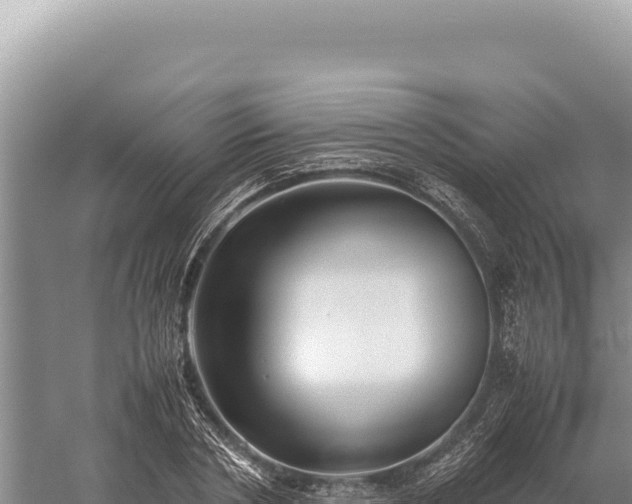 X0000059250786200510211627