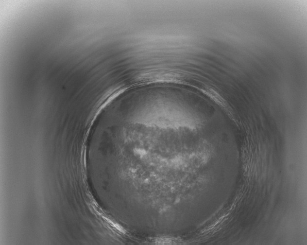 X0000059250790200510211627