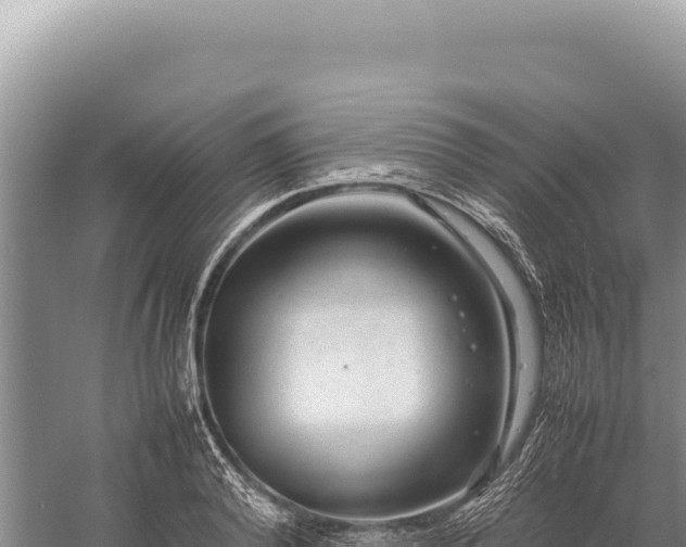 X0000059250792200510211627