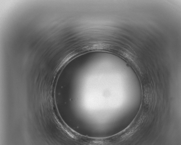 X0000059250794200510211627