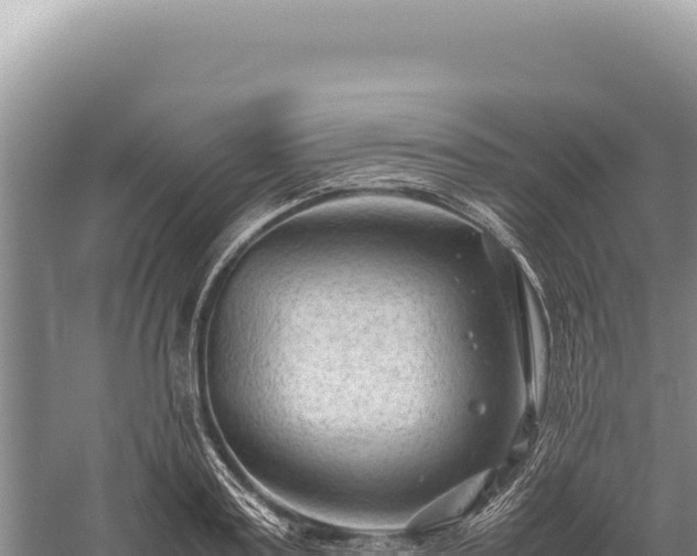 X0000059250795200510211627