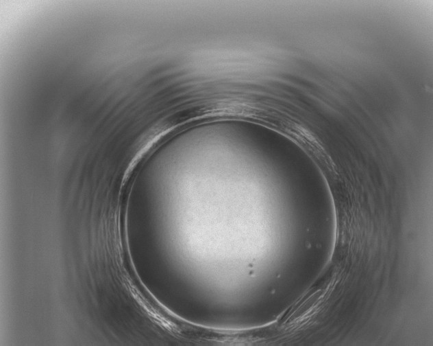 X0000059250796200510211627