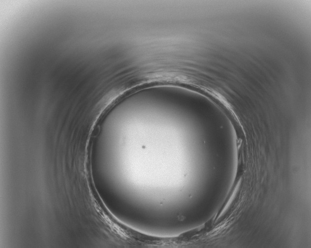 X0000059250799200510211627