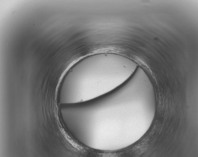 X0000059250800200510211627