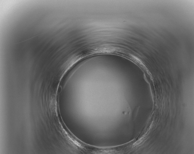 X0000059250802200510211627