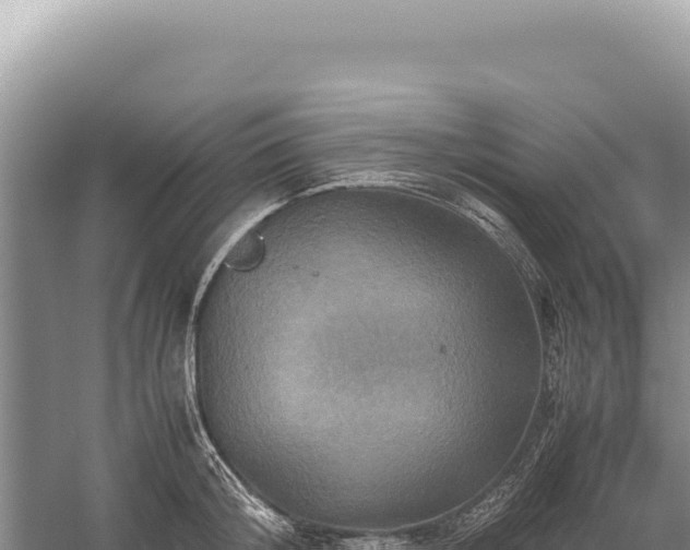 X0000059250804200510211627