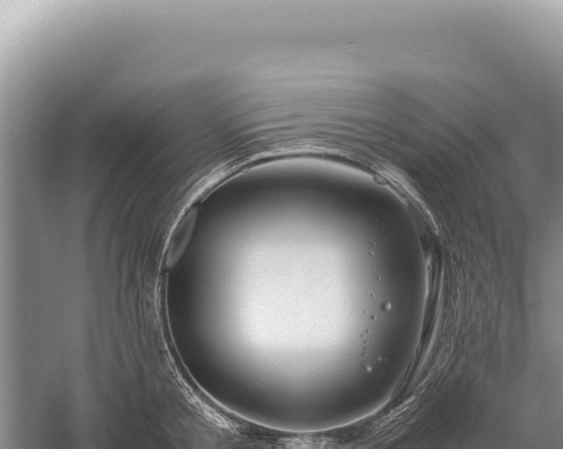 X0000059250805200510211627