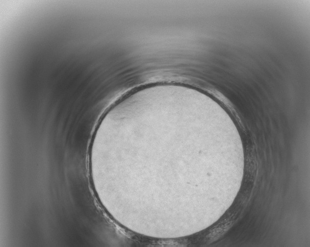 X0000059250807200510211627