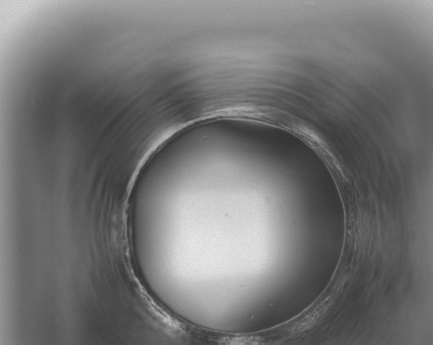 X0000059250808200510211627