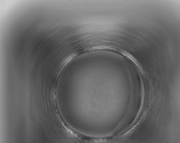 X0000059250809200510211627