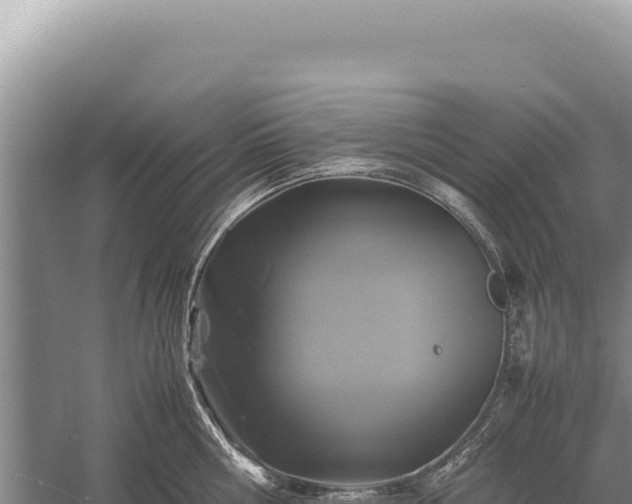 X0000059250810200510211627