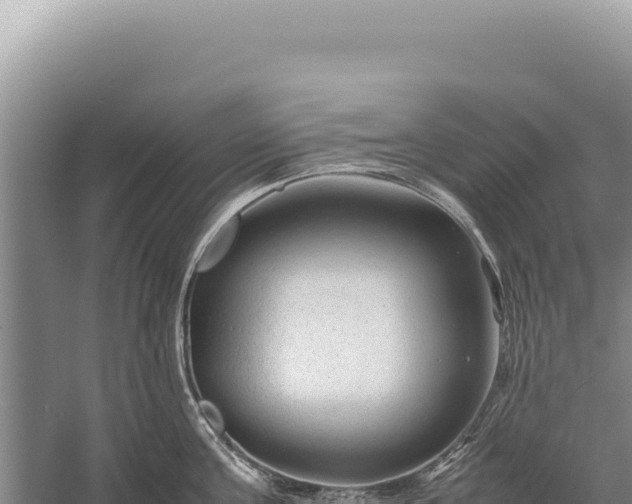 X0000059250811200510211627