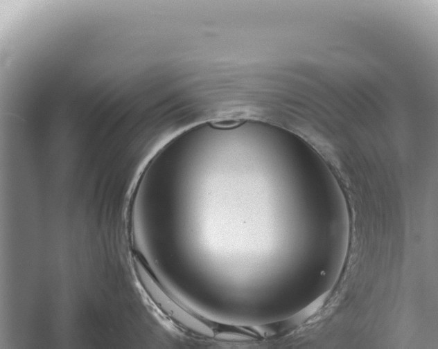 X0000059250816200510211627