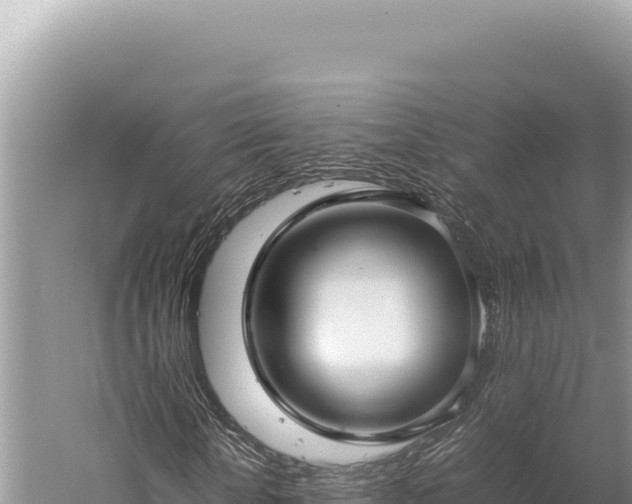 X0000059250818200510211626