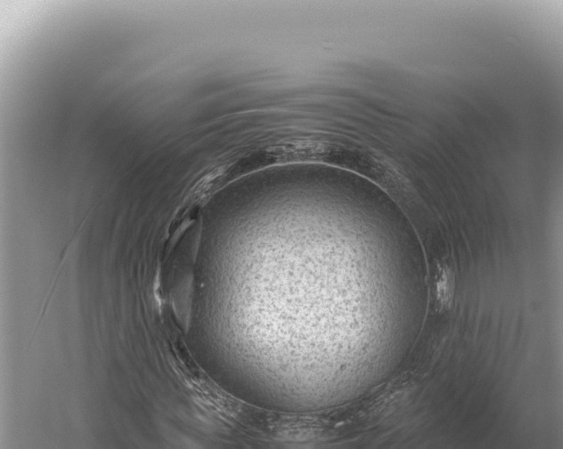 X0000059250819200510211626